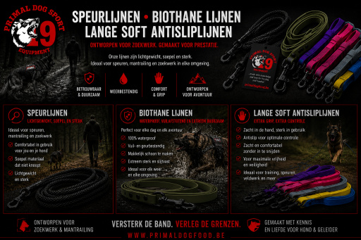 speurlijn