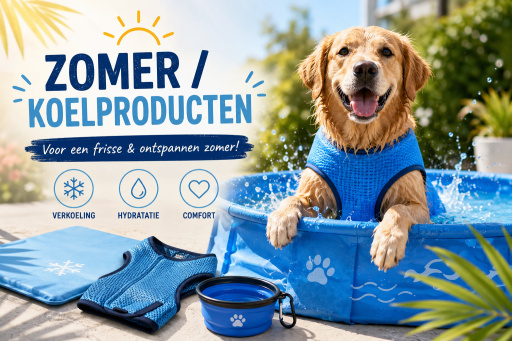 zomer / koelproducten