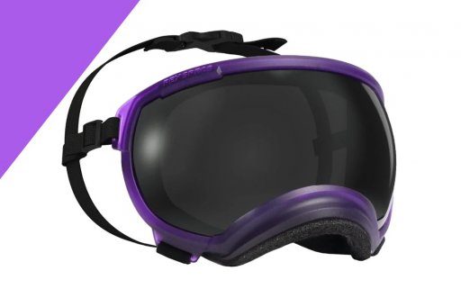 Hondenbril Rex Specs V2 - maat medium - riptide paars