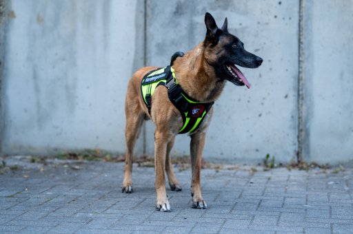 GuardianPro Tactical Harness - neon yellow - XL