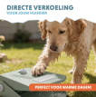 Coolpets Splash Water Fountain Olijfgroen