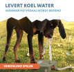 Coolpets Splash Water Fountain Olijfgroen