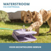 Coolpets Splash Water Fountain Lila