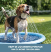 COOL019M Coolpets Splash Sprinkler Pad M 150 cm