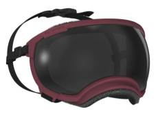 HB10195.27 Hondenbril Rex Specs V2 - maat large - burgundy
