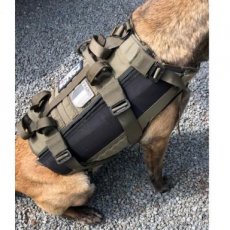 P7707 ballistisch kogelwerend harnas hond - maat L - groen