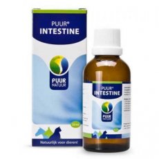 PUUR Intestine / Darm 50 ml