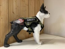 PDS7001 GuardianPro Tactical Harness - black - S