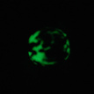 PDS97056 foam bal - 7 cm glow in the dark - met anti-slip handvat