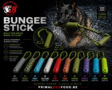 PDS97069 Surge Bungee Stick