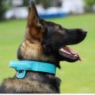S03918 lederen halsband met handvat 'DRAGO'  48-56 CM - blauw